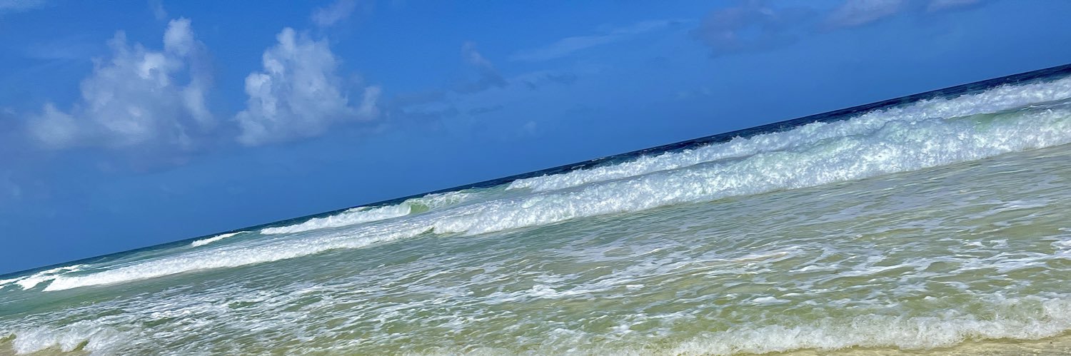 Idania Gamboa Medina banner