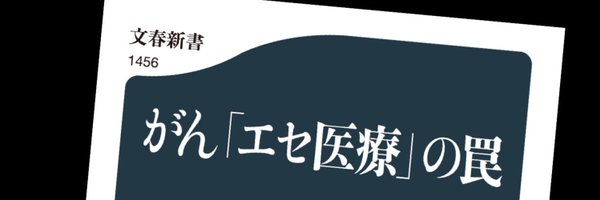 michiiwasawa Profile Banner