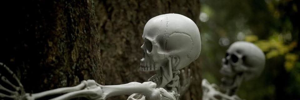 ⋆⁺₊⋆⁺₊⋆ banner