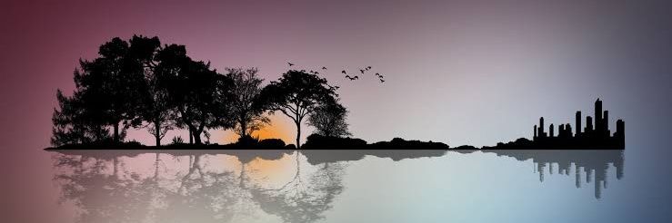 Berkan Yılmaz banner