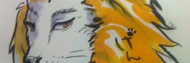 ara_ran's profile banner image