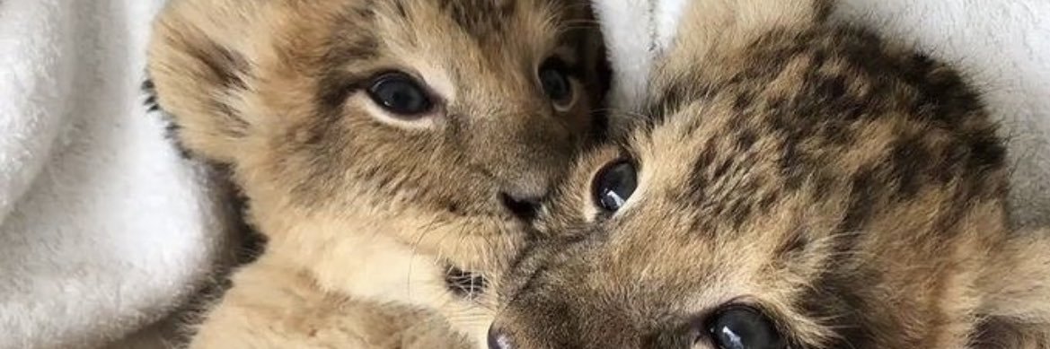 amnnaalz's profile banner image