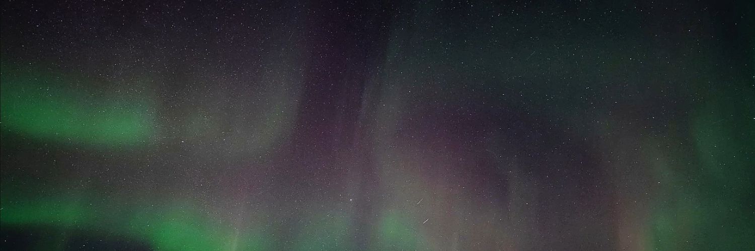 you 🦋🐟✨️ banner