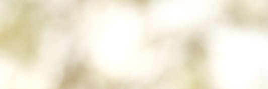 churanwg's profile banner image