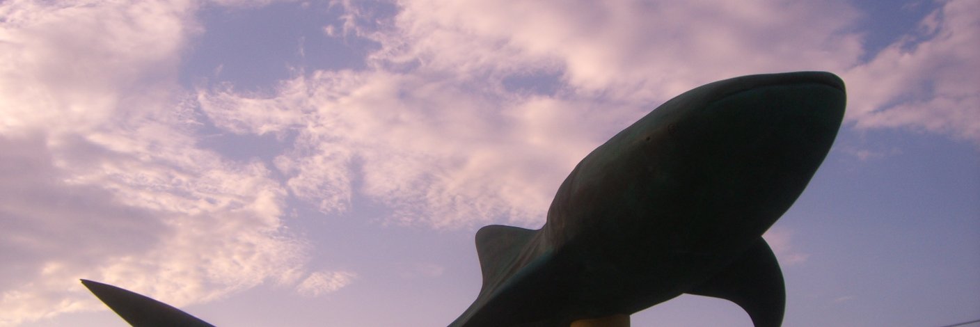 SushiCujira's profile banner image