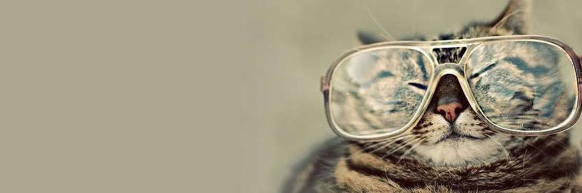 erimatheides's profile banner image