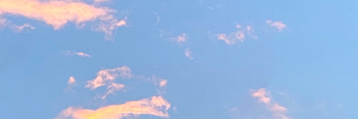 niuhller's profile banner image