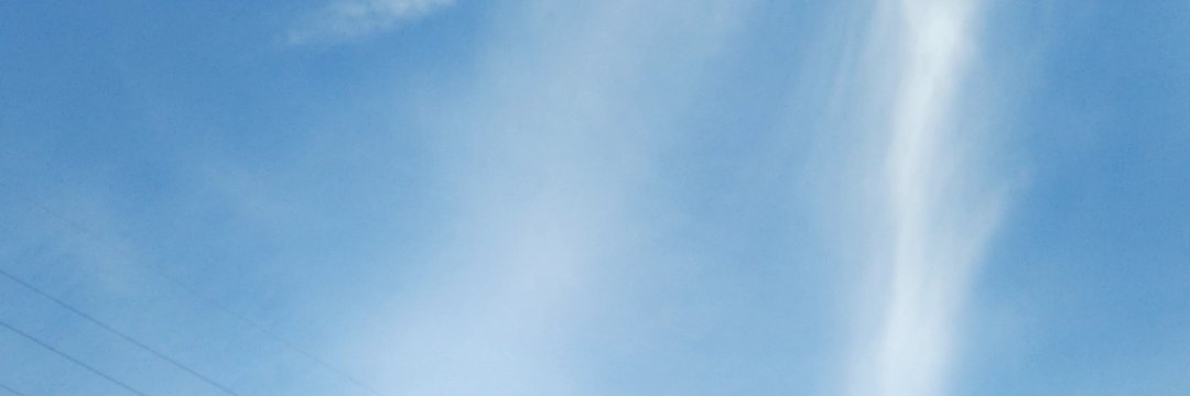 roca_new's profile banner image