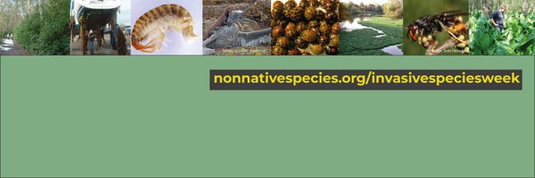 InvasiveSp Profile Banner