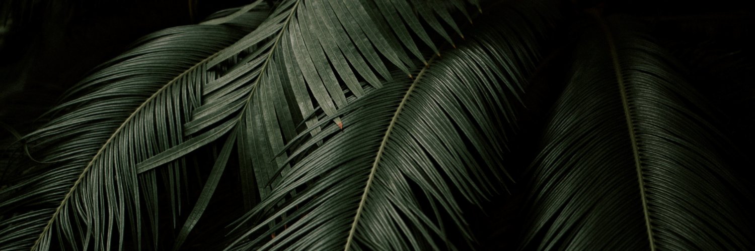 Serggio Monttilva banner