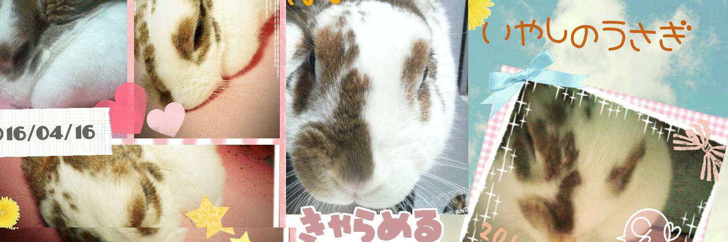 mintea_rabbit's profile banner image