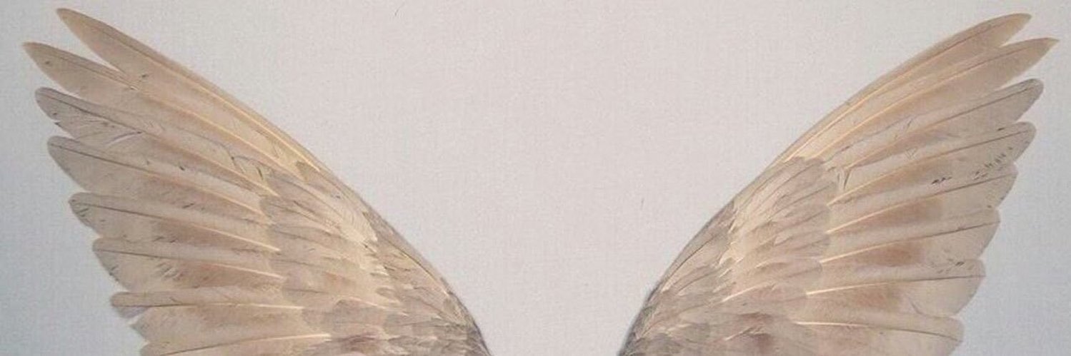 bellabloop's profile banner image