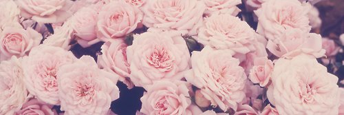 _Negriis's profile banner image