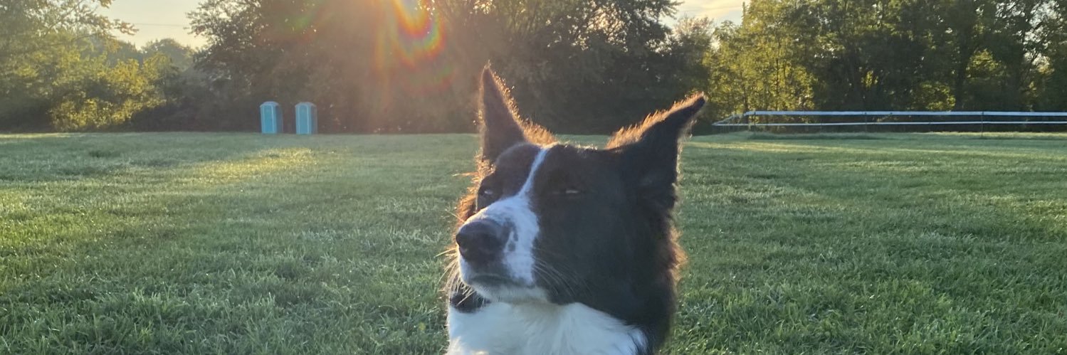 AlexaRoeper's profile banner image