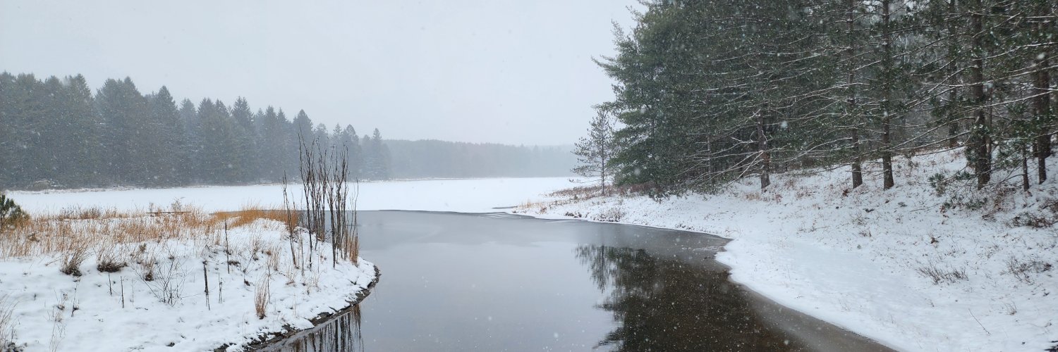 Allegheny National Forest banner