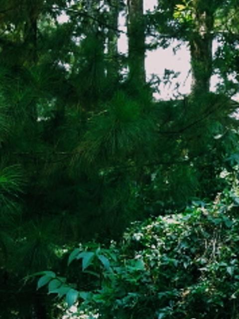 indahprtwyy's profile banner image