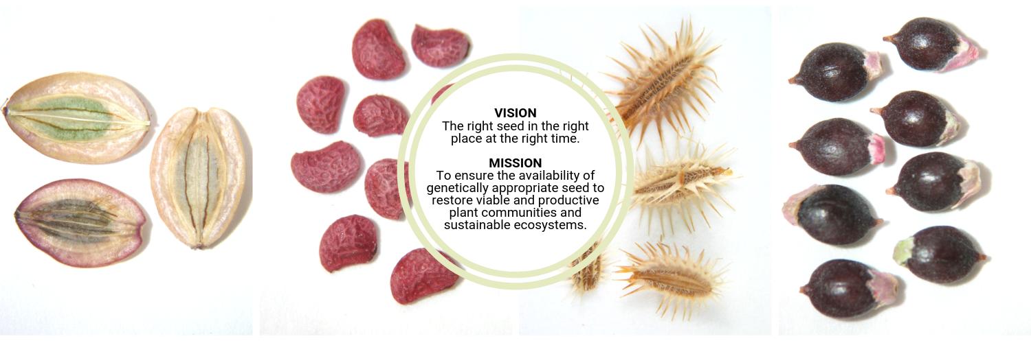 National Seed Strategy banner
