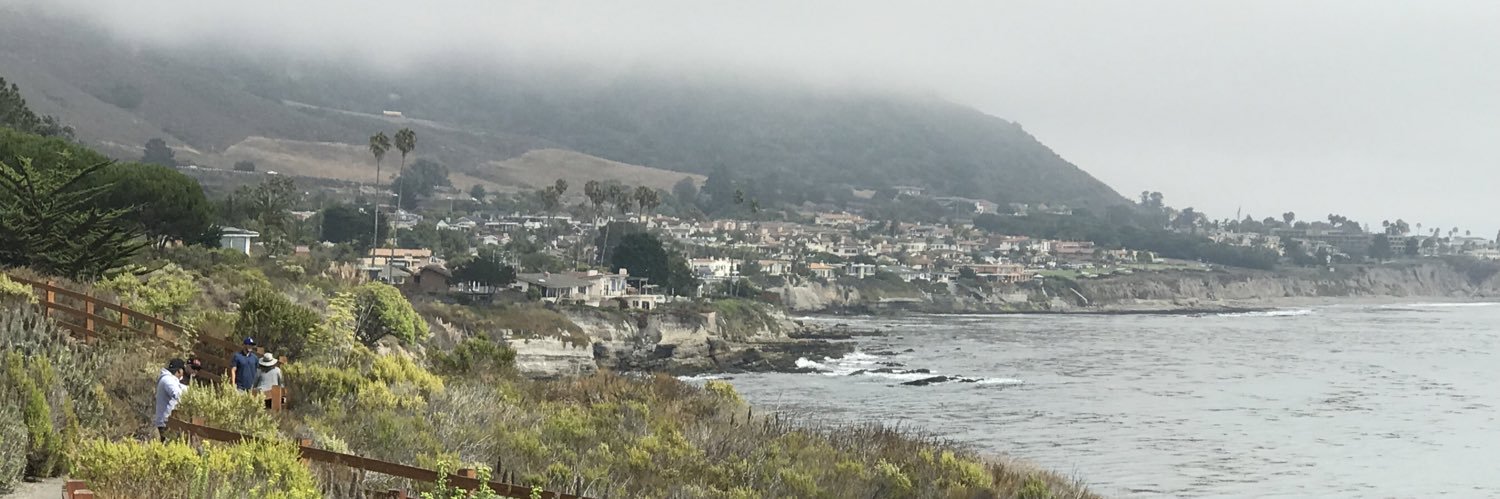 CA 🇺🇦🌻🇺🇦✌🏻 banner