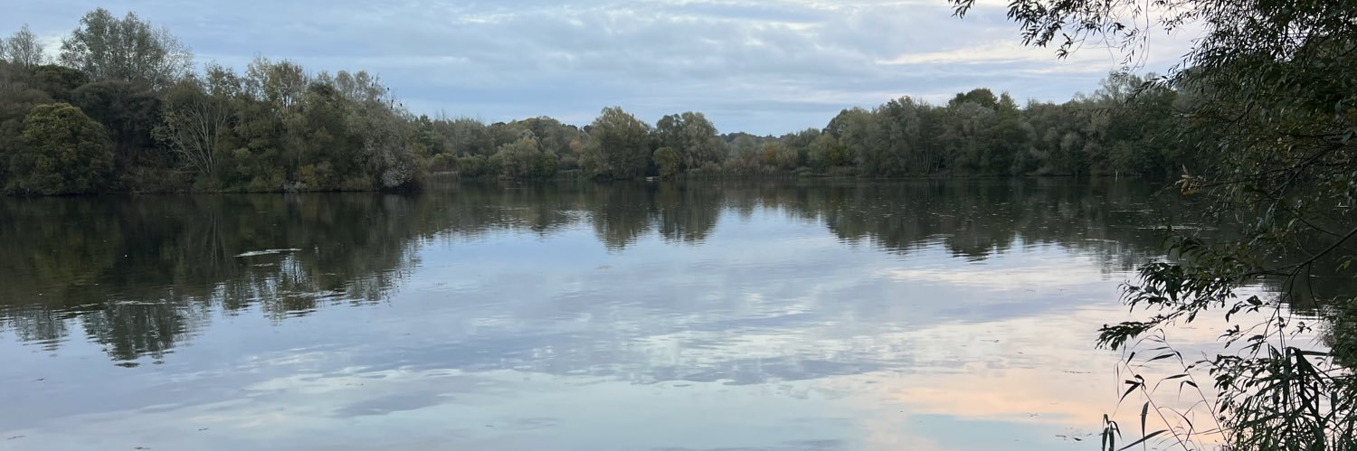 Sunshine Superman banner