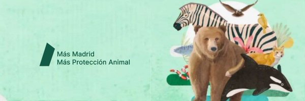 MasPAnimal Profile Banner
