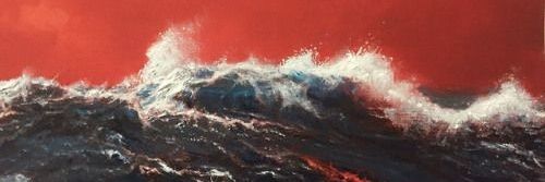 🐞's banner