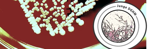 jungedghm Profile Banner
