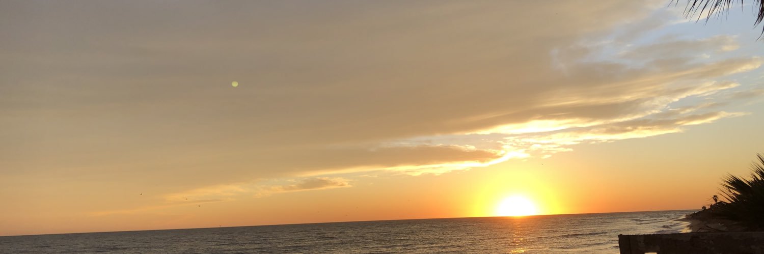 lissyfdominguez's profile banner image