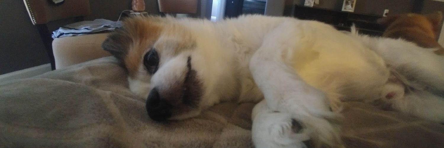 Irrational Logic banner