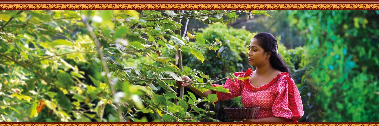 Traditional Me banner