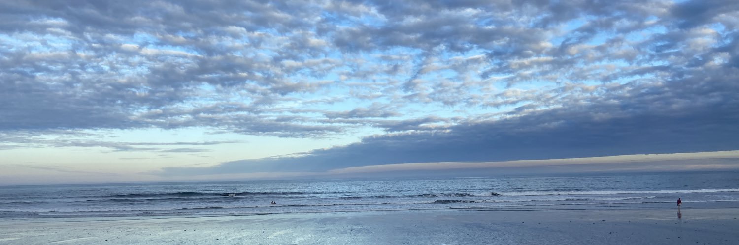 LimberLinda's profile banner image