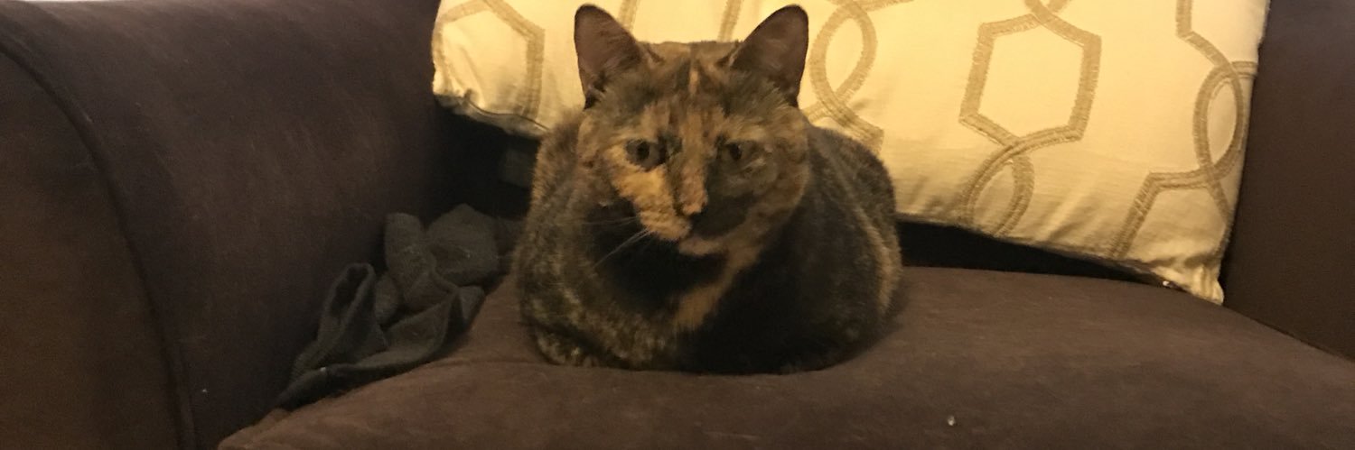 QueenArtemis8's profile banner image