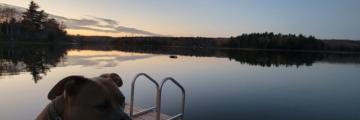 MrThibault's profile banner image