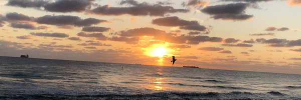 JDS_25 Profile Banner