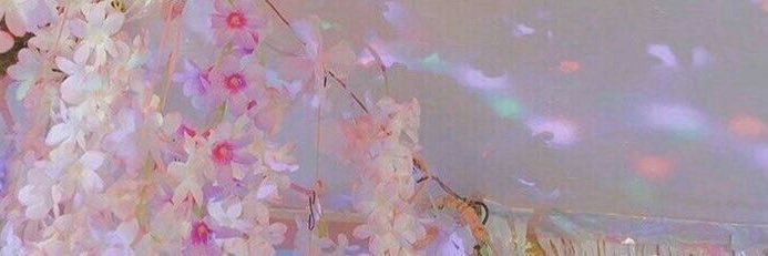 Hadeel525's profile banner image