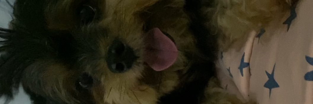 giulorenx's profile banner image
