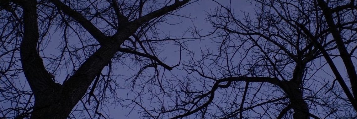 pandorabox's profile banner image