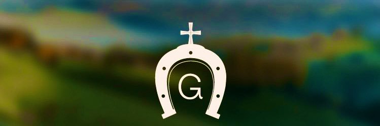 LUIS DAVID GALINDO GERARDINO banner