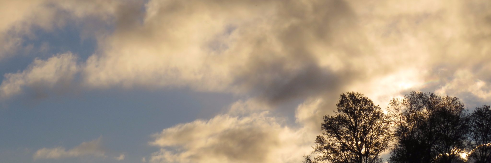 ymonjeh's profile banner image