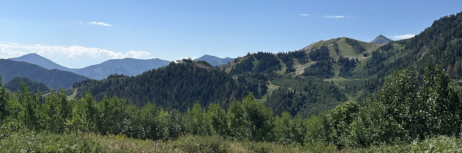 Addison Patton banner