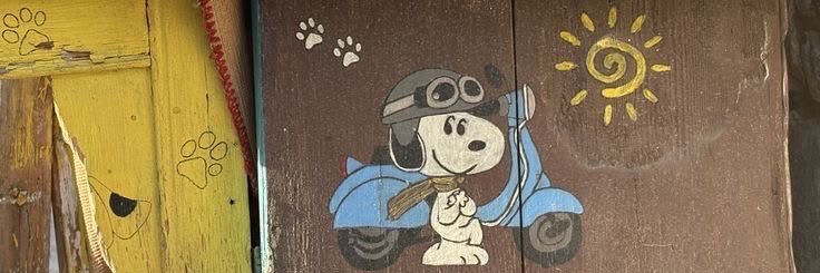 ven 𓃴 #girlbobtwt banner