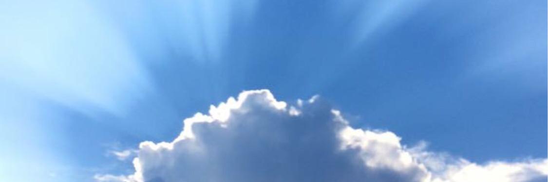danaknox's profile banner image