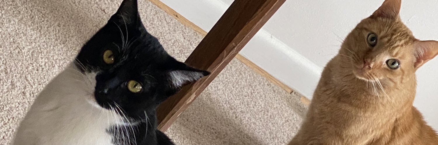 Chase banner