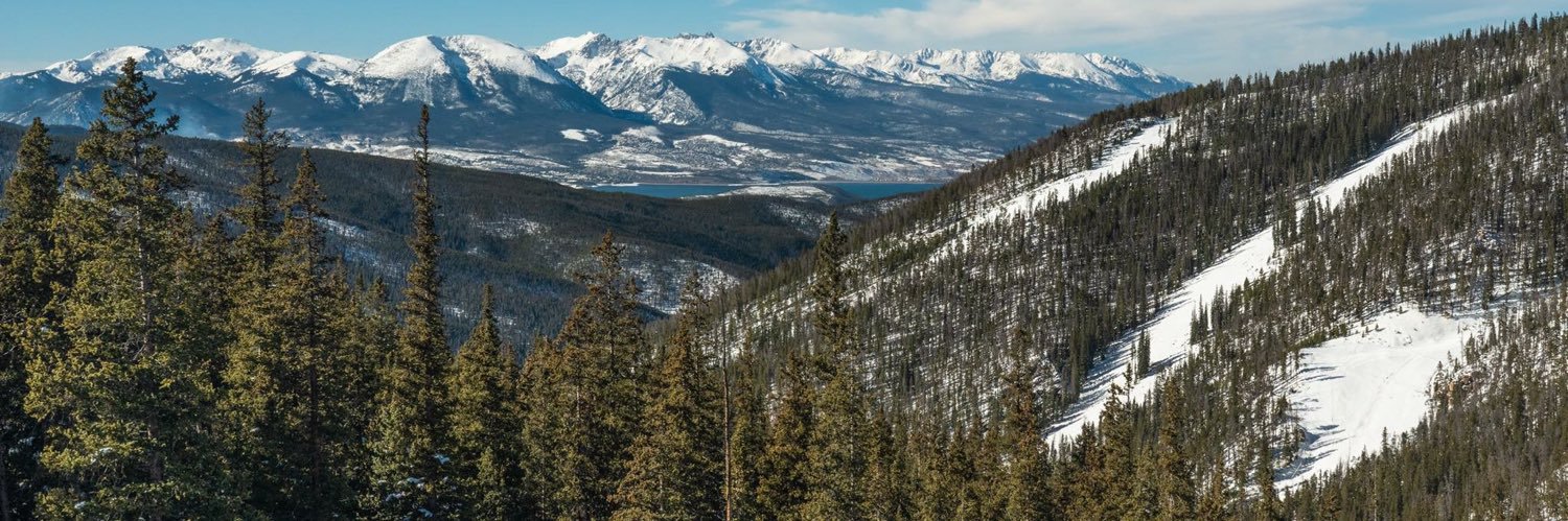 Maggie Phillips banner