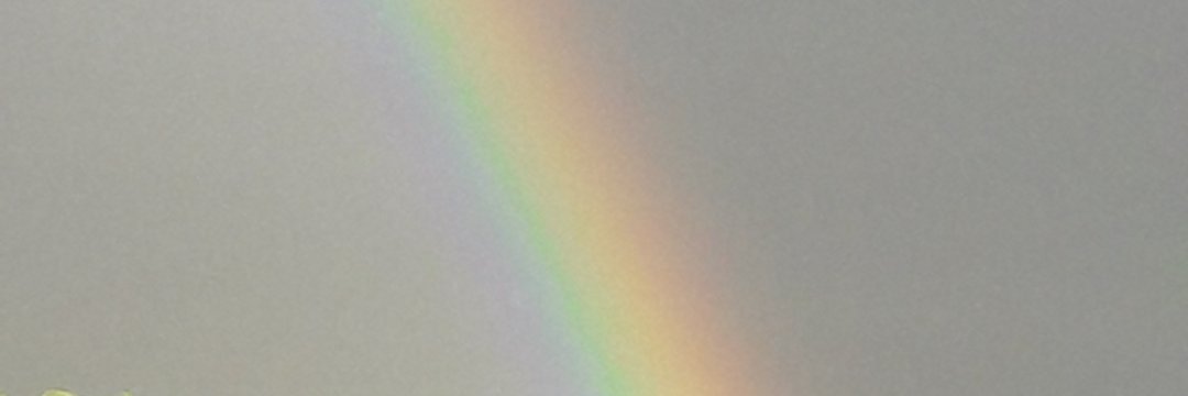gemaurb's profile banner image