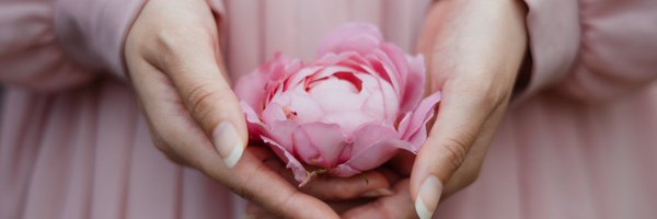 lialily11 Profile Banner