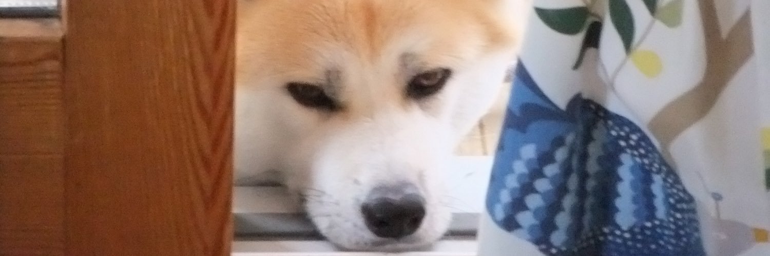 iijima44's profile banner image