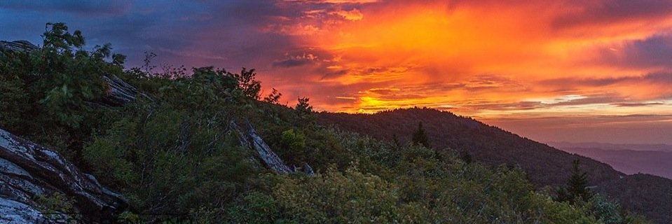longleafmedia's profile banner image