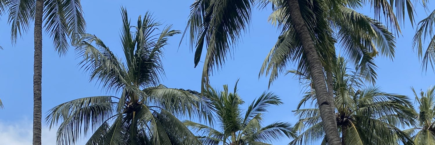 alanabcd_'s profile banner image