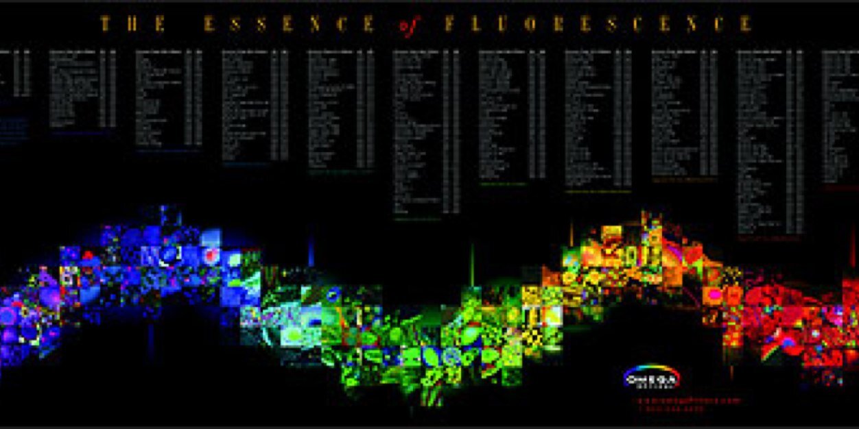 SMosca banner