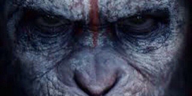 Nasty_Flocka's profile banner image